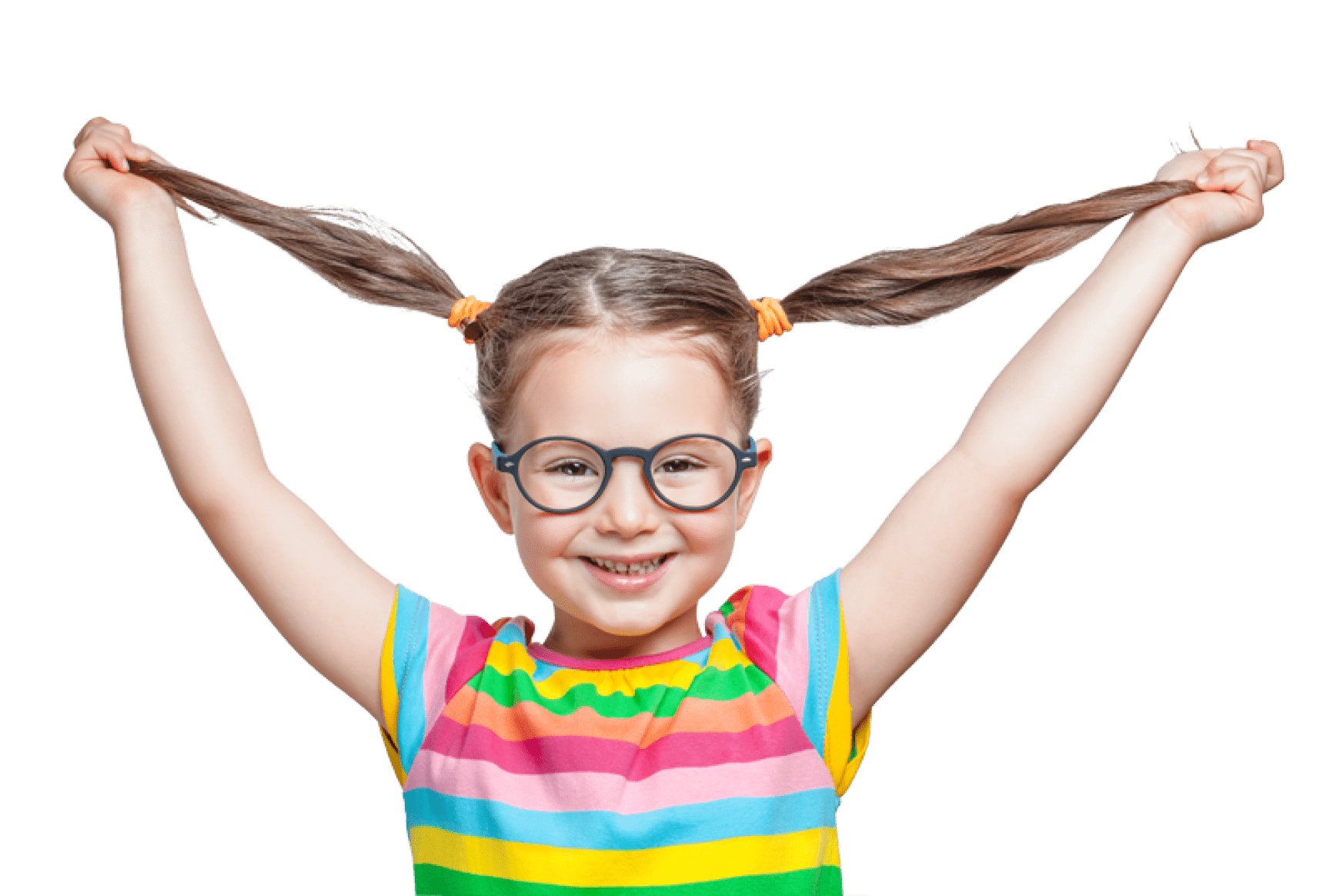 imagen componentes del programa wasi min